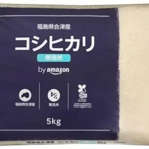 optnyanyazon compict41puePZHoL. SL500 5